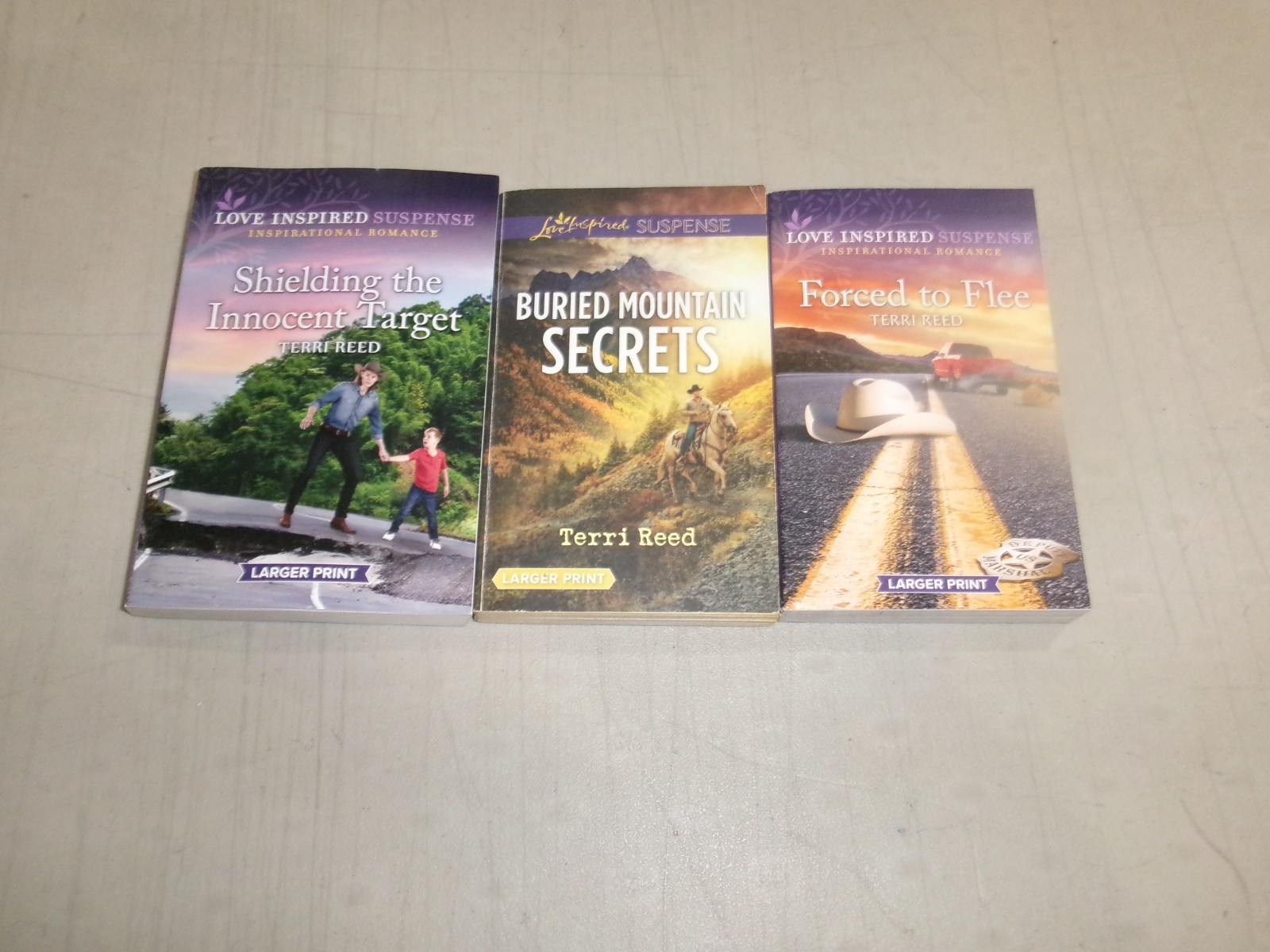 Terri Reed-Author (A Collection of 6 Standalone Books-Titles Below) Lot 7958