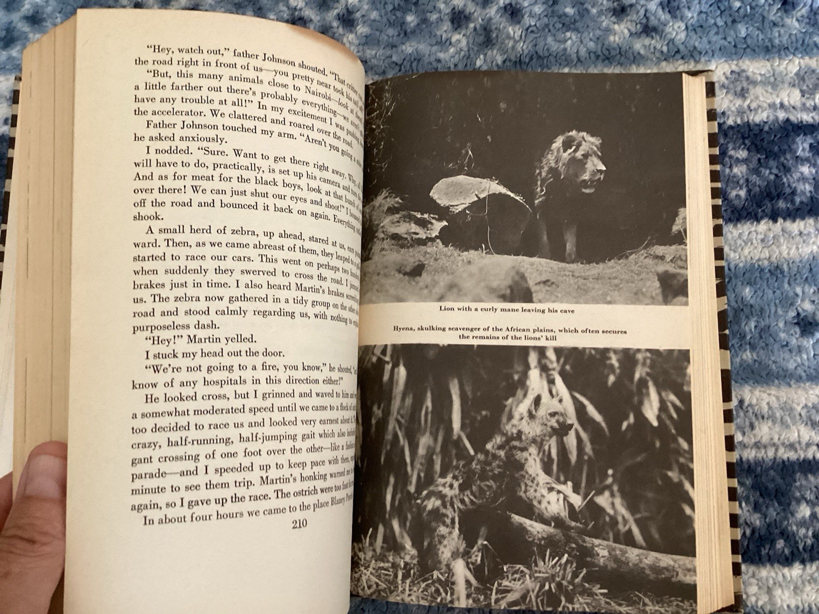 Osa Johnson I MARRIED ADVENTURE | 1942 Halcyon House Hardcover
