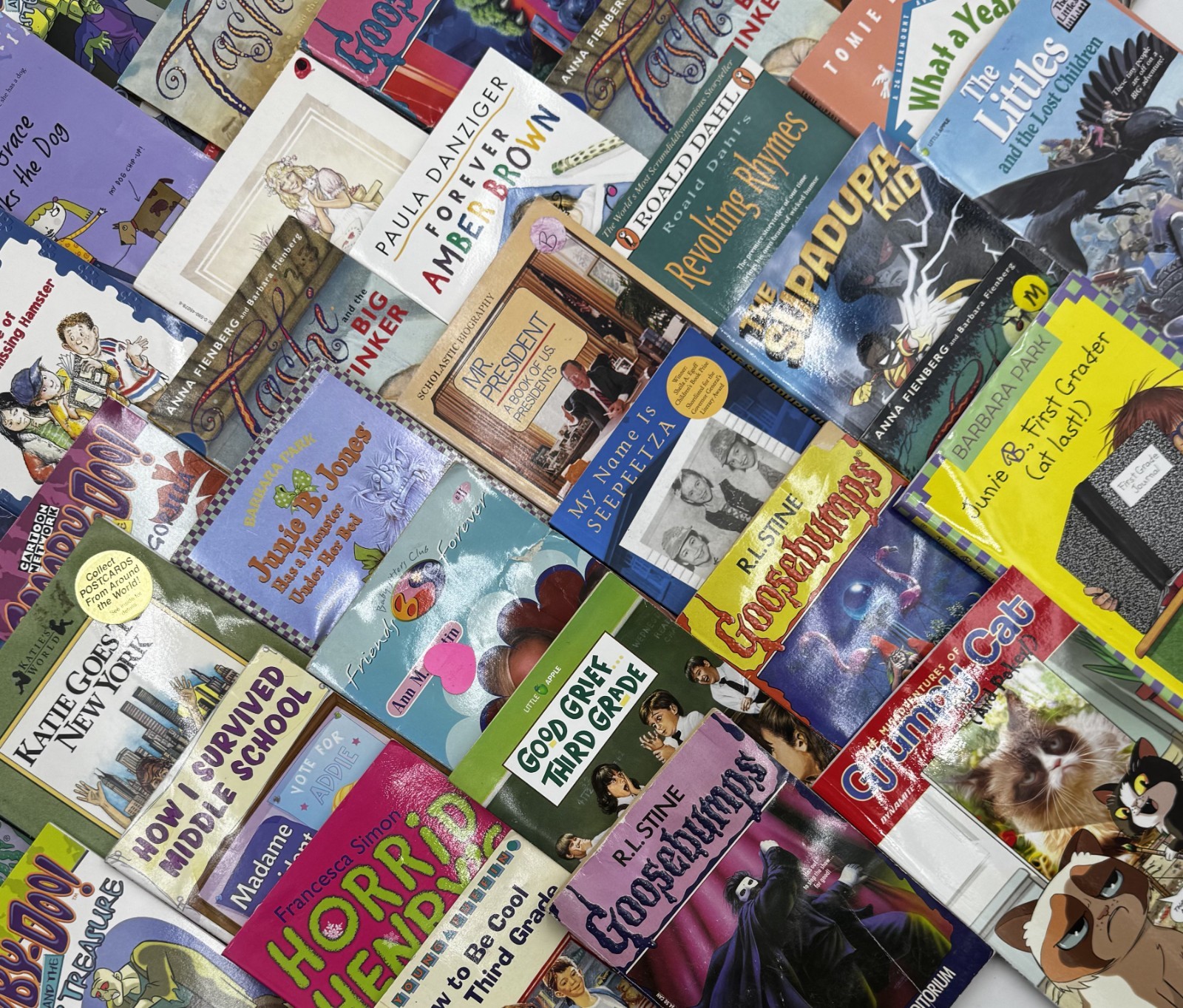 Bulk/Huge Lot of 25 Children’s Kids Chapter Books – Random – Free Shipping!