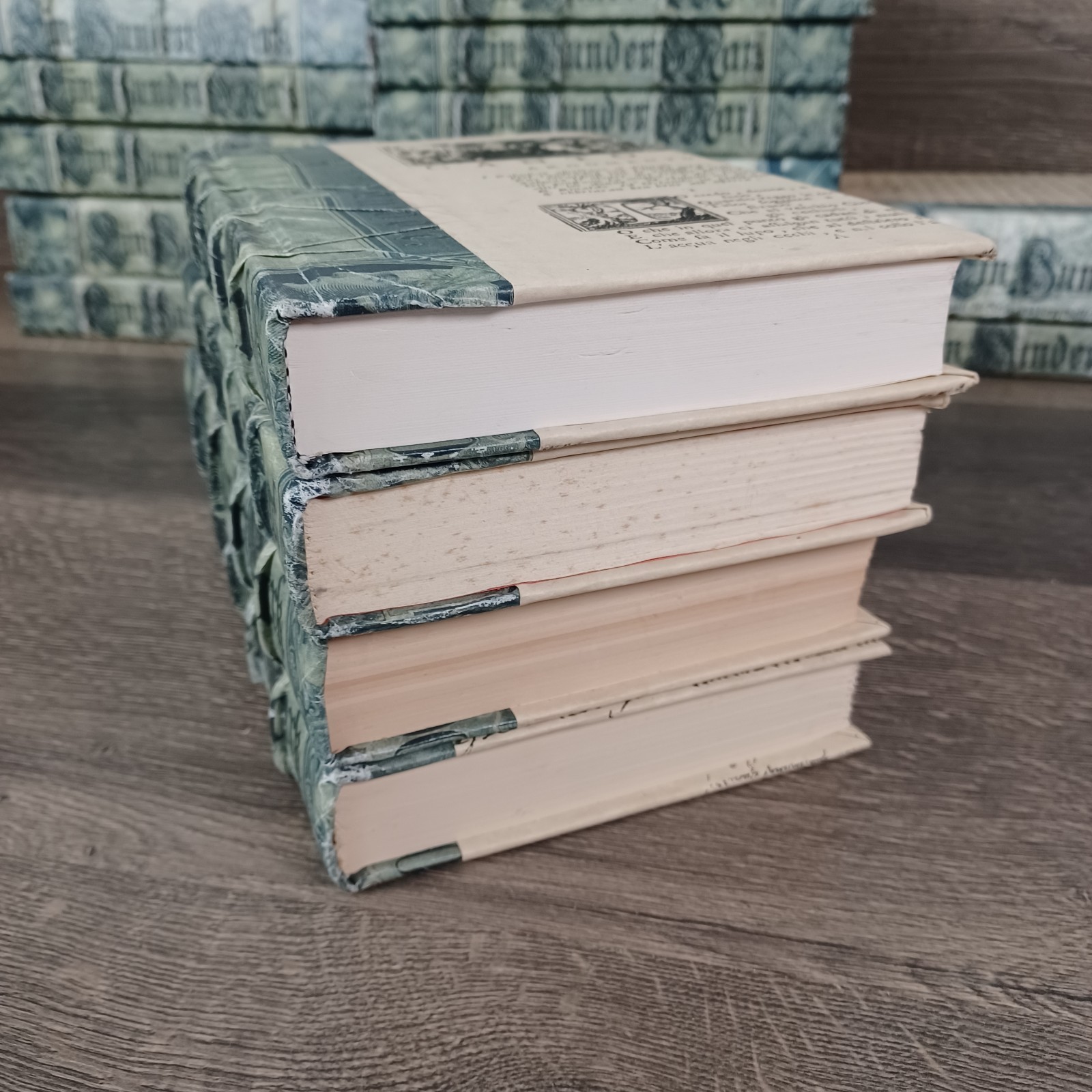 23 Custom Bound Decorative Hardcover Books Matching Library Display Set Unique