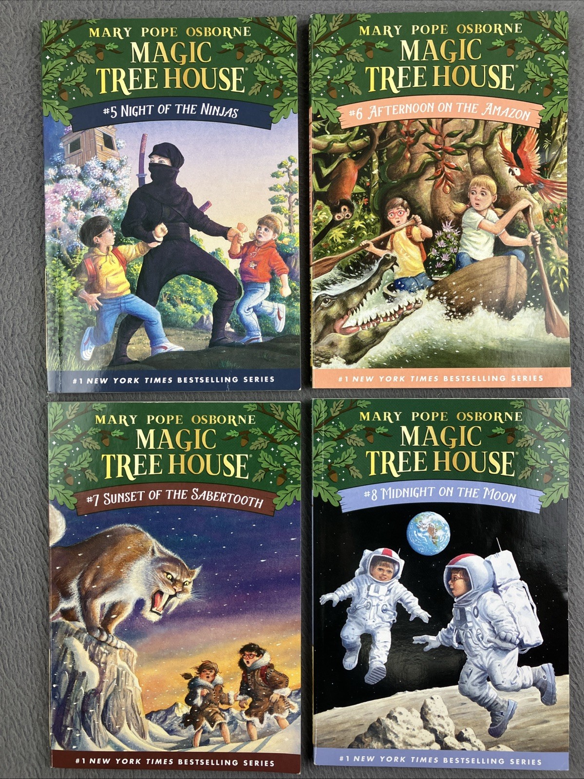Magic Tree House Boxed Set, Books 5-8: Night of the Ninjas, Afternoon on the…