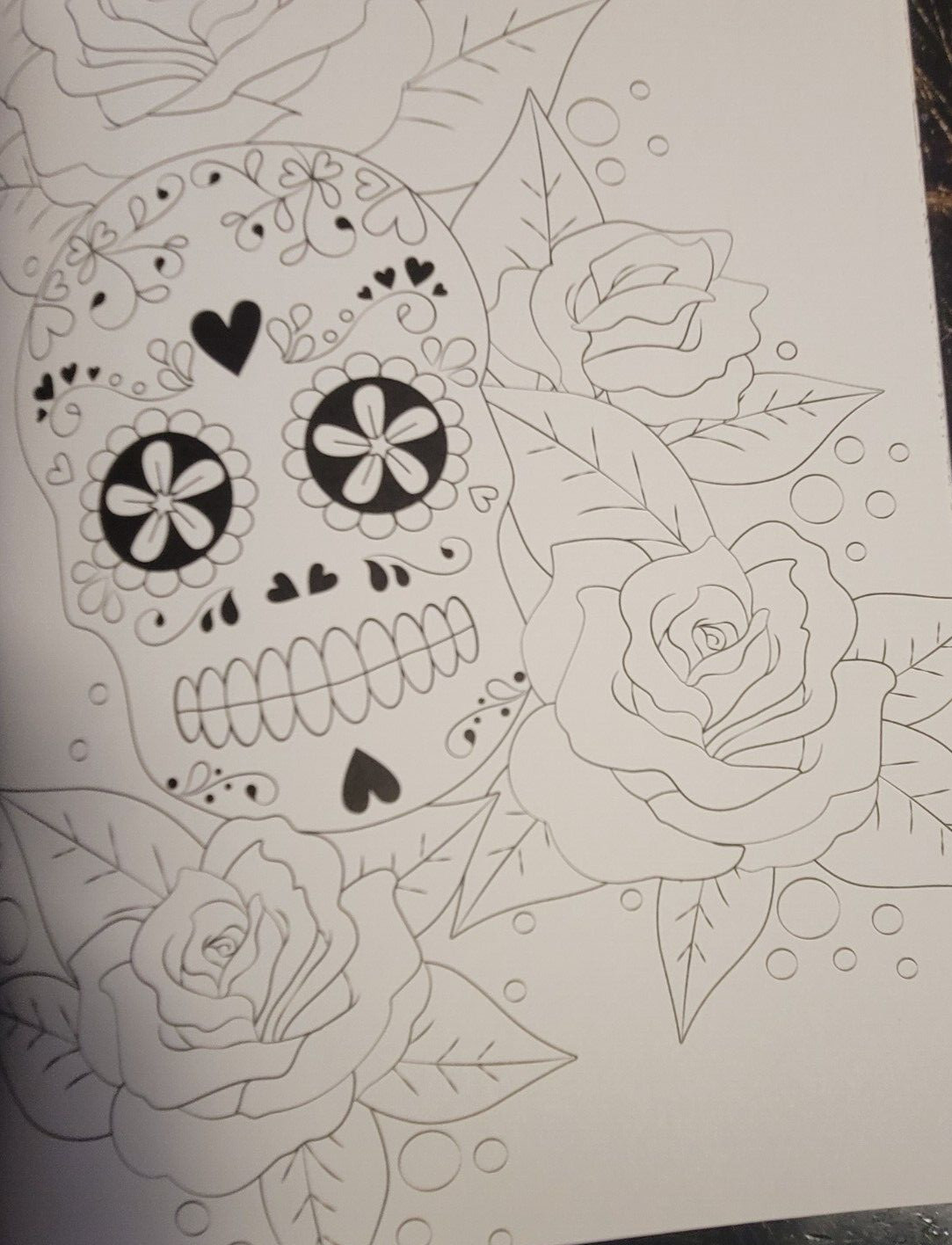 DAY OF THE DEAD Vol 5 Adult Coloring Book With 47 Prints Ready To Frame