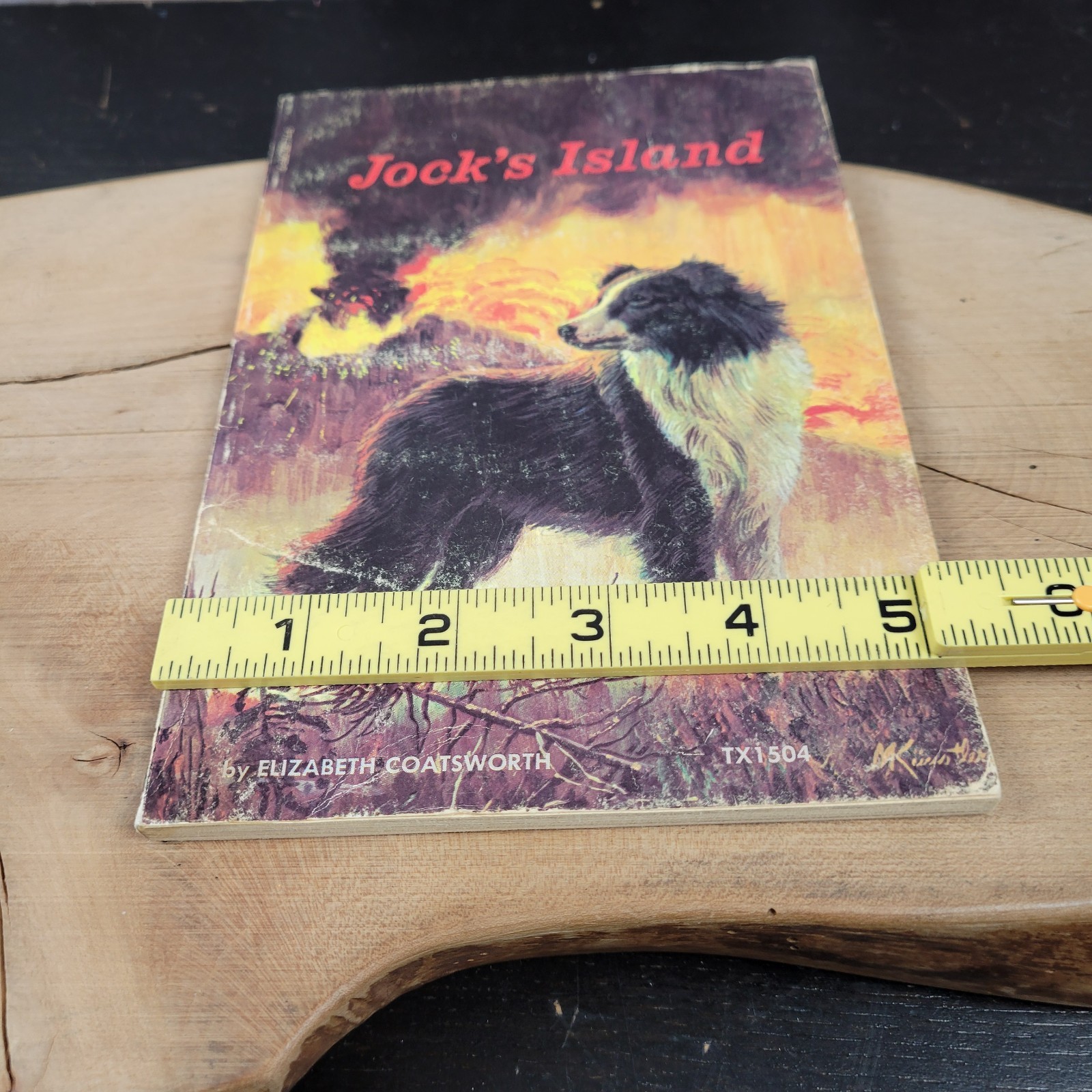 Jock’s Island By Elizabeth Coatsworth TX 1504 Scholastic SBS 1963 Vintage PB