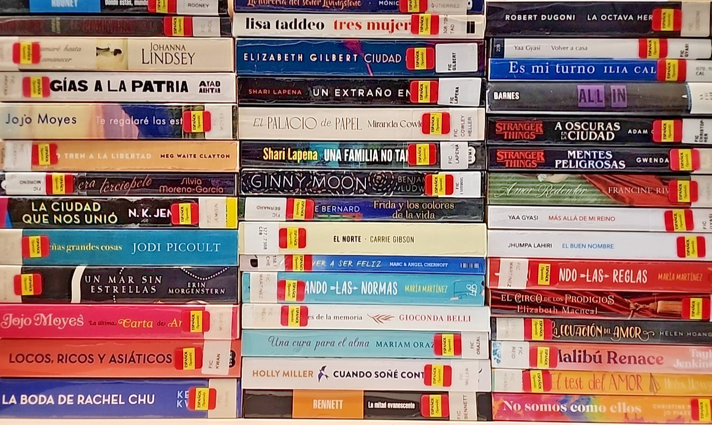 Lot of 10 Spanish ESPAÑOL Reading MEXICO Literature Books *RANDOM* UNSORTED MIX
