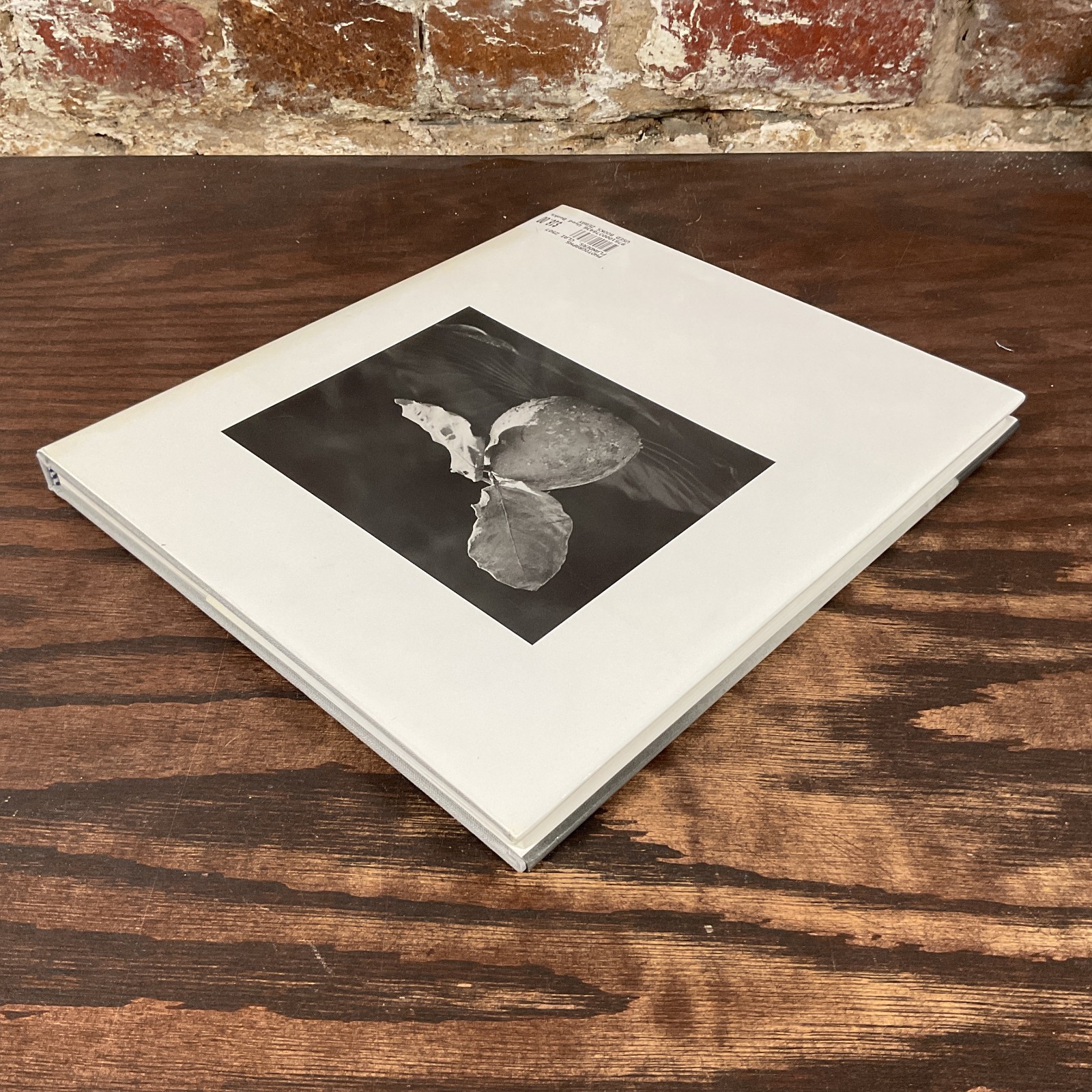 Photographs By Flanders, Claire