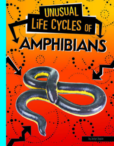 Unusual Life Cycles of Amphibians – Paperback By Jaycox – VERY GOOD