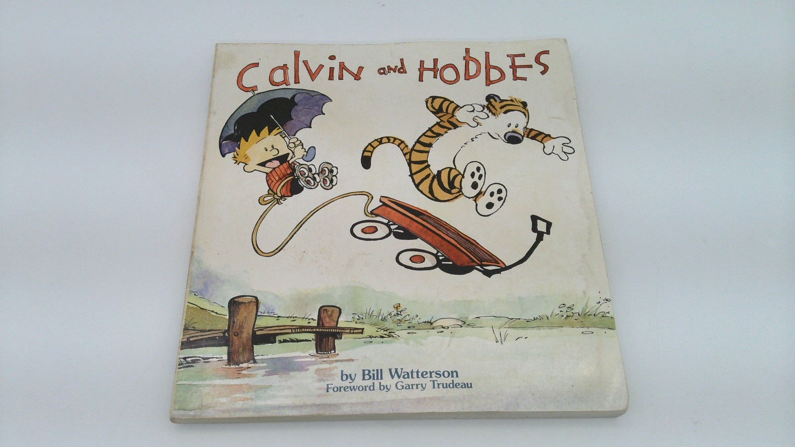 Calvin and Hobbes Collection Lot of 10 Books Bill Watterson Comic Strip Cartoon