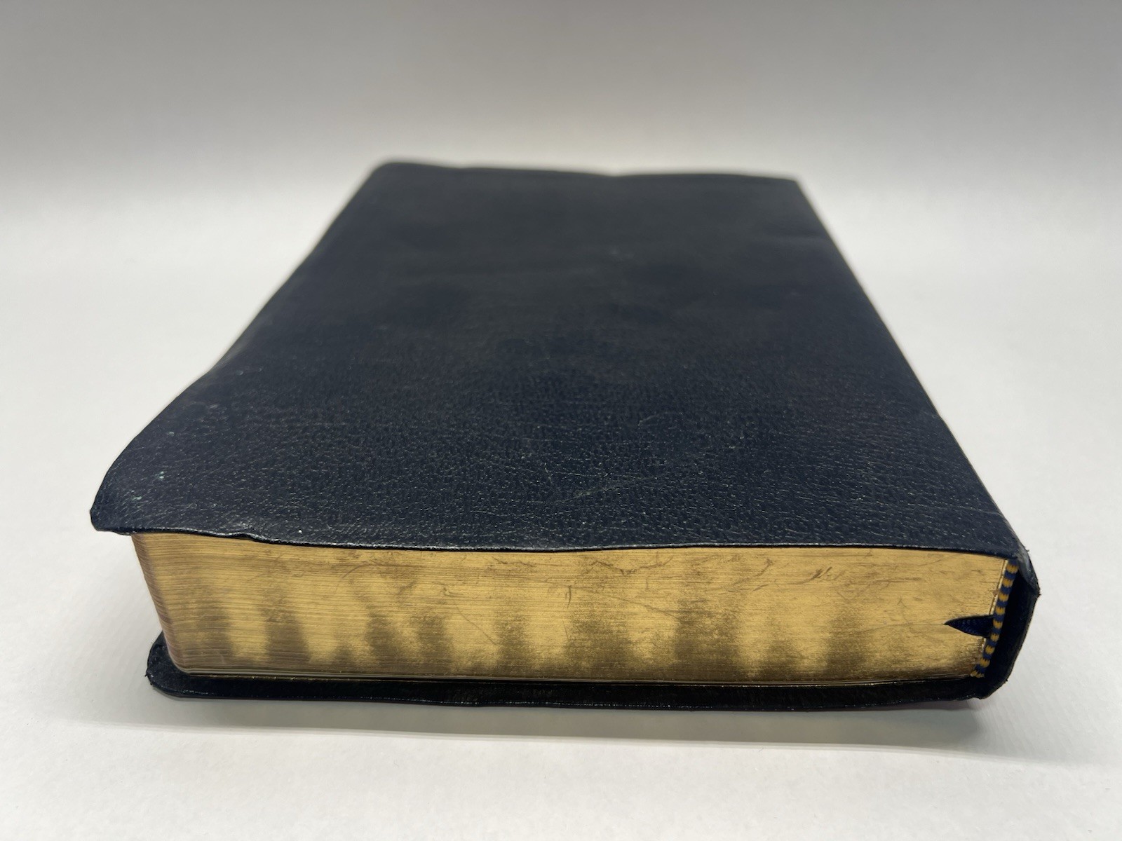 The Catholic Youth Bible Revised (2005)