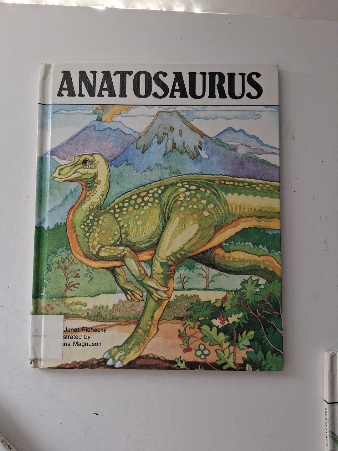 Lot of 6 Dinosaur Hardcover Books 1991 Janet Riehecky The Child’s World Series