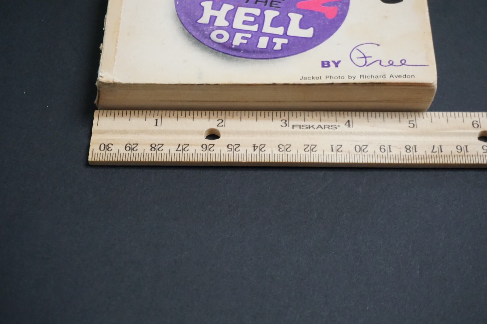 Revolution for the Hell of It (1970, Abbie Hoffman) *Paperback Book GUC