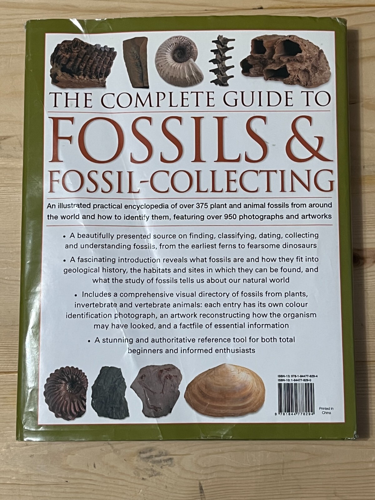 The Complete Guide to Fossils & Fossil-Collecting – Steve Parker, Hardcover DJ