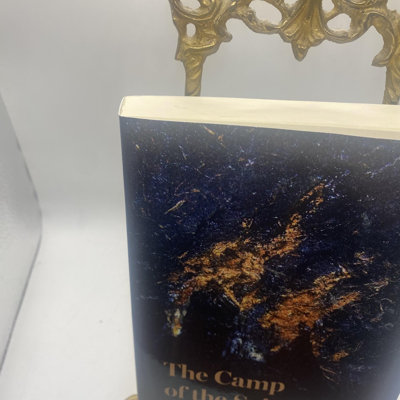 The Camp Of The Saints Jean Raspail Vauban Trade PB 2025 Dystopian Novel