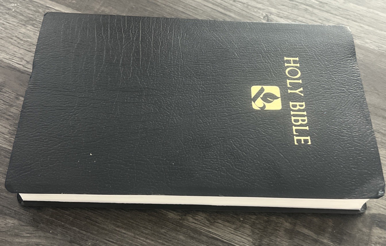 Holy Bible The New Revised Standard Version Hendrickson