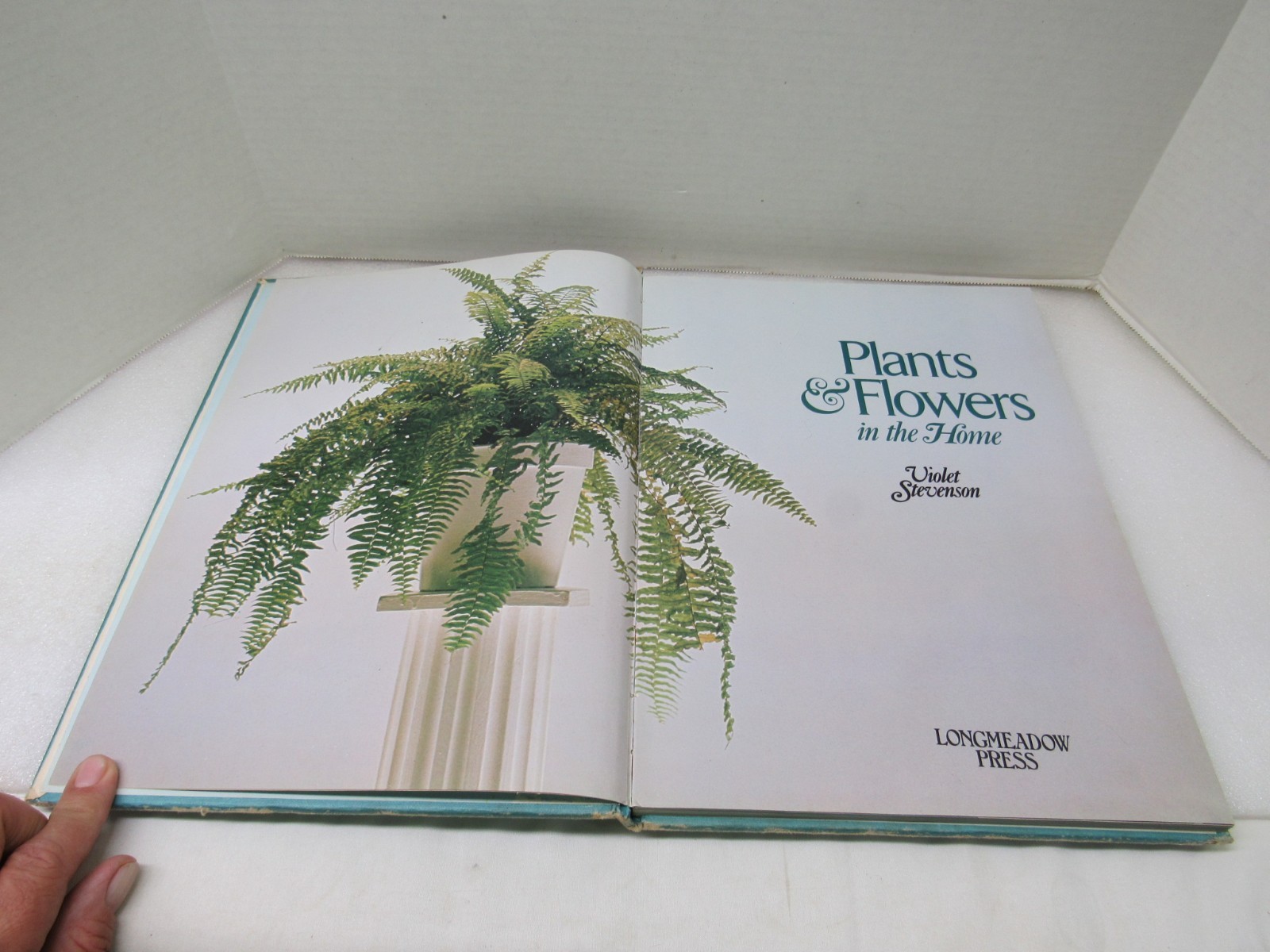 Plants & Flowers In The Home Violet Stevenson Longmeadow Press 1975 Hardcover
