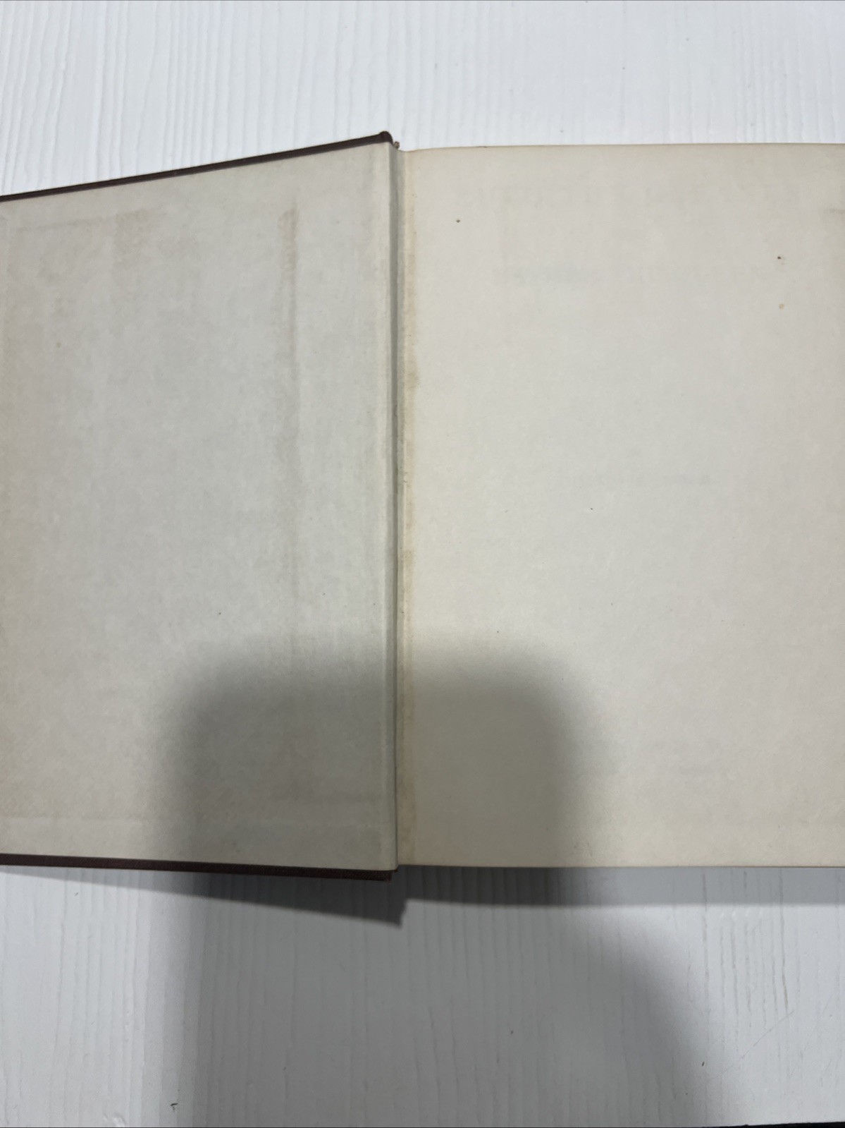Ruth The Gleaner And Esther The Queen︱1961︱William M. Taylor︱Hardback Book︱Vinta