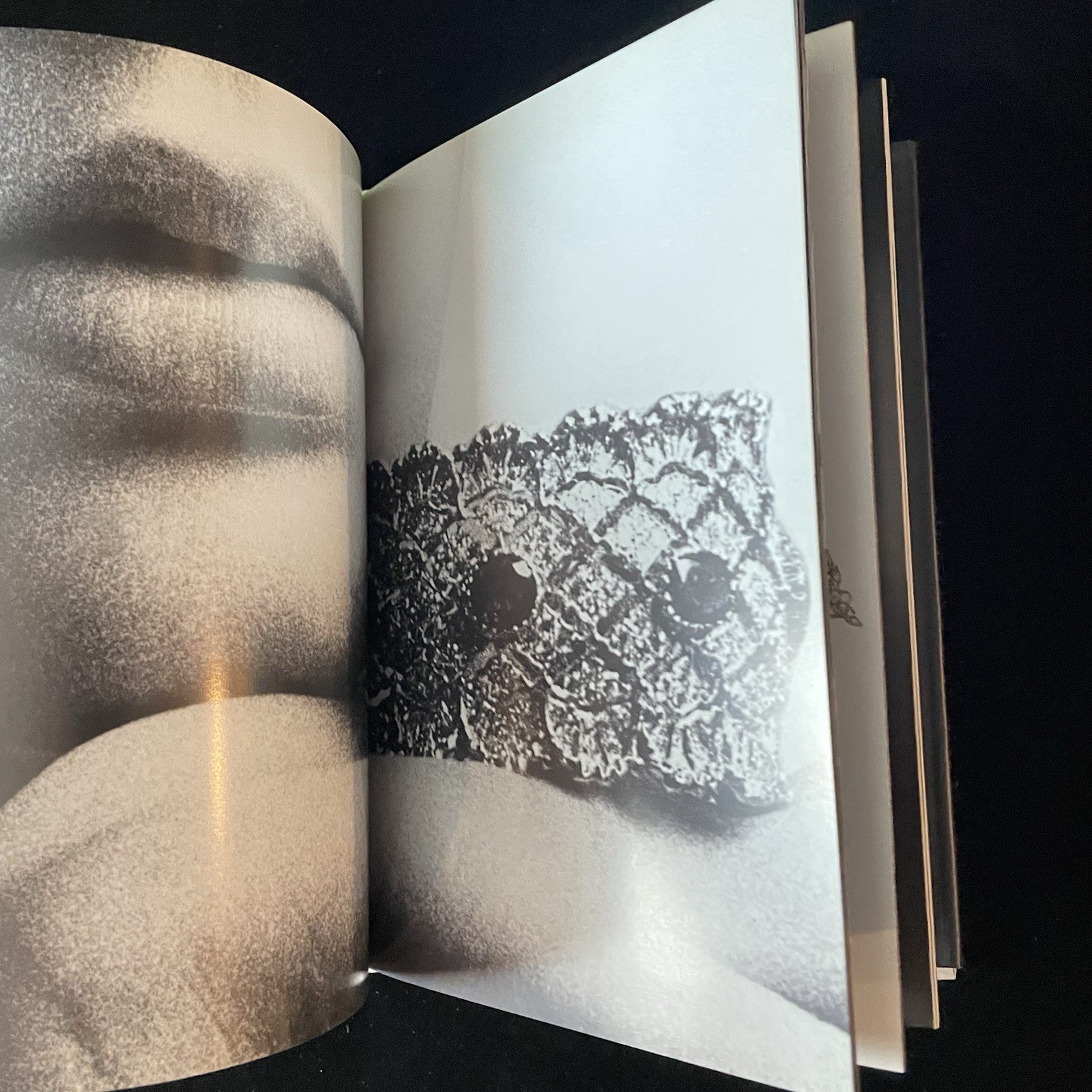Buccellati Gianmaria Jewelry Assouline Art Book Vincent Emmanuel Ragot HCDJ