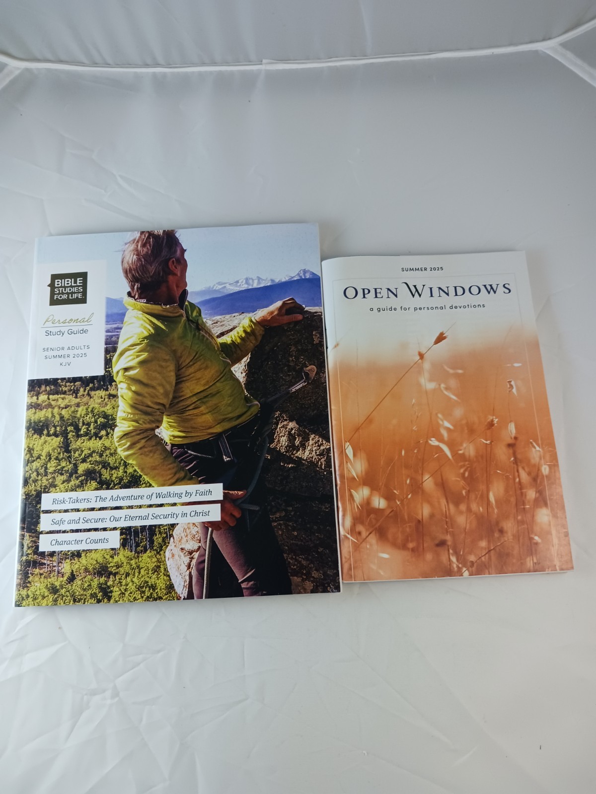 Open Windows Devotions Summer 2025 & Bible Studies For Life Study Guide, 2 Books
