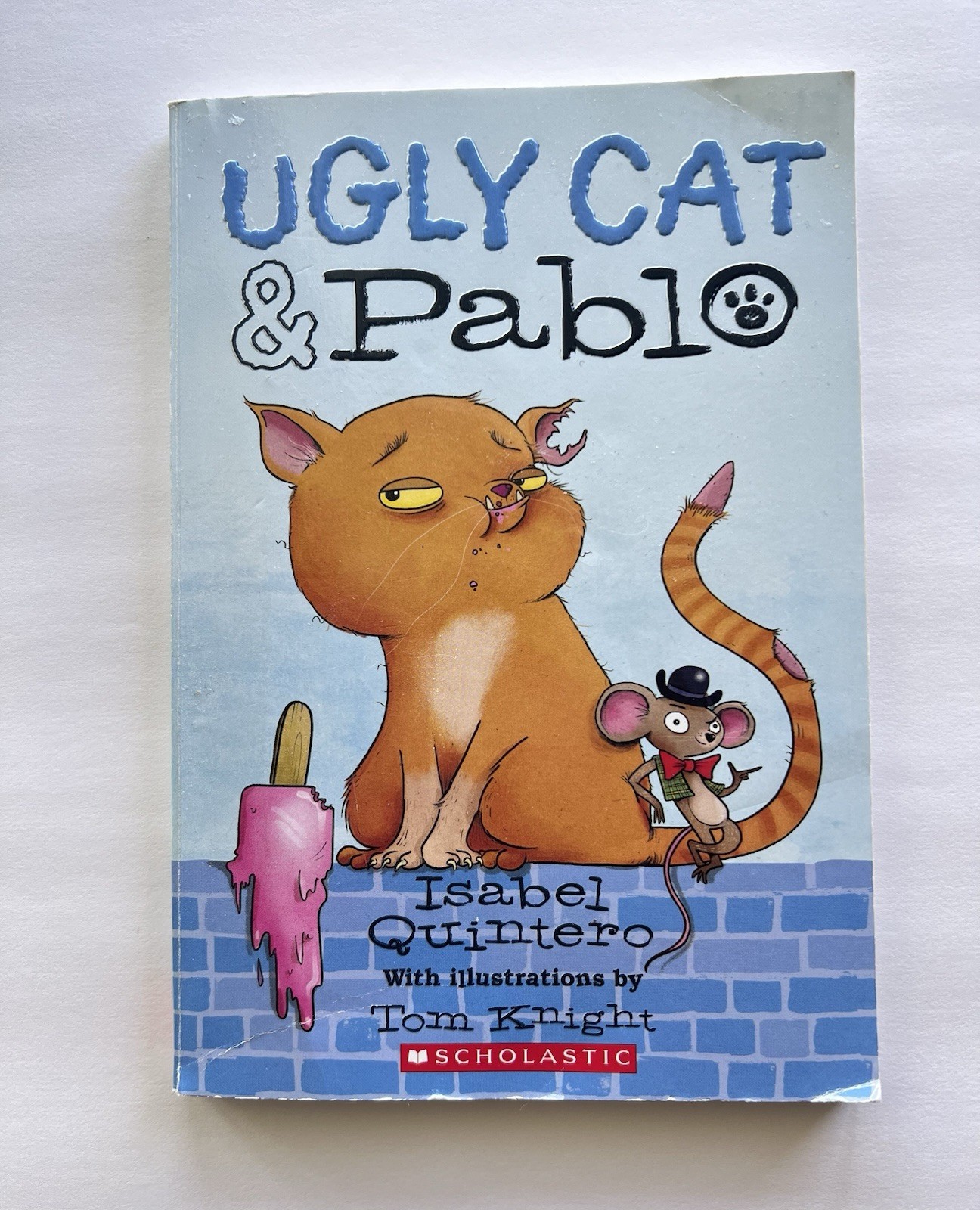 Scholastic Ugly Cat & Pablo by Isabel Quintero Humorous Stories – Good