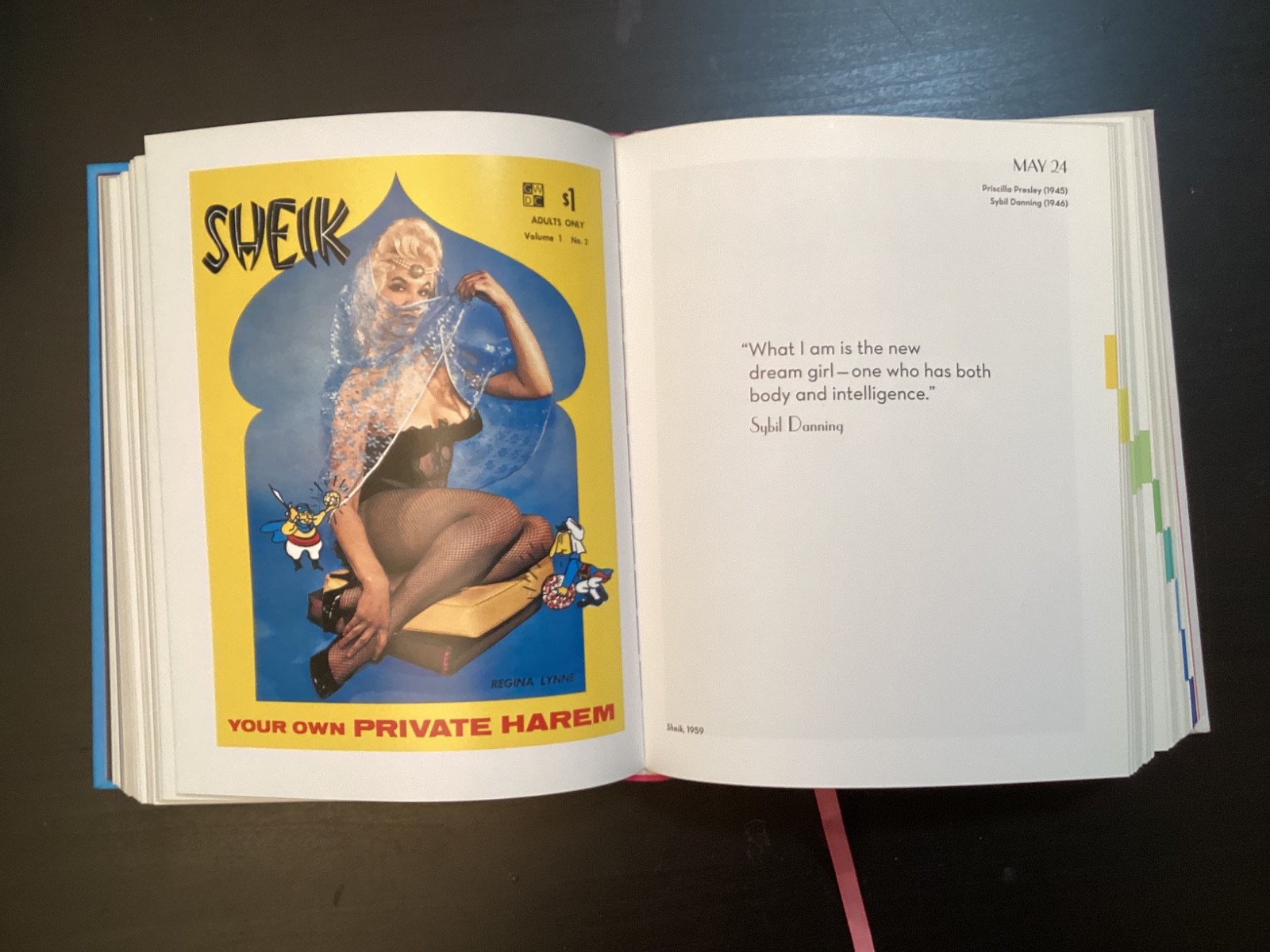 365 Day-by-Day Pin-Up Dian Hanson (2012, Hardcover Taschen)