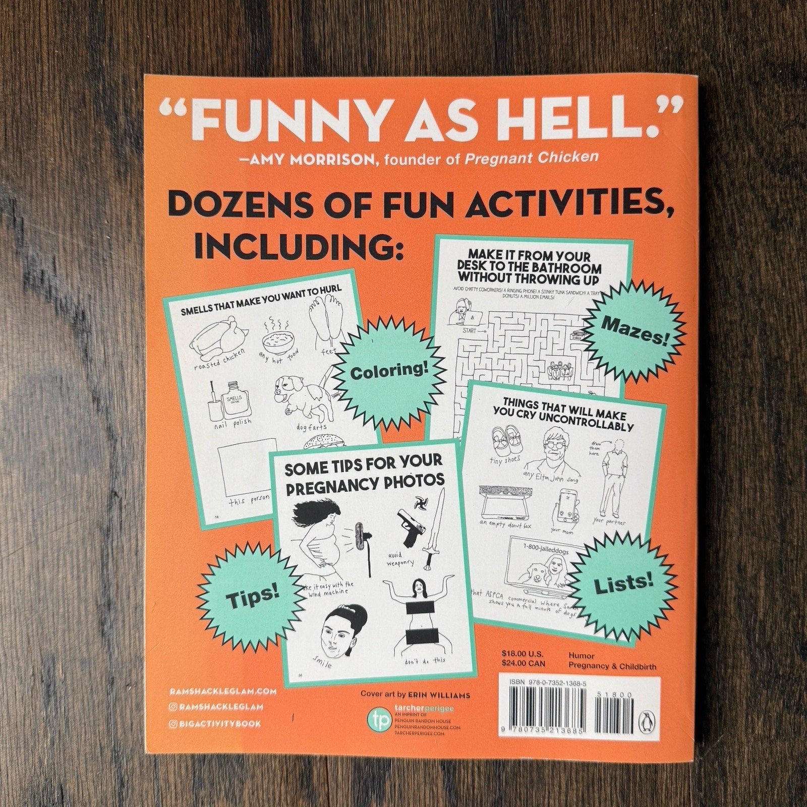 Big Fat Activity Book for Pregnant People by Erin Williams and Jordan Reid…