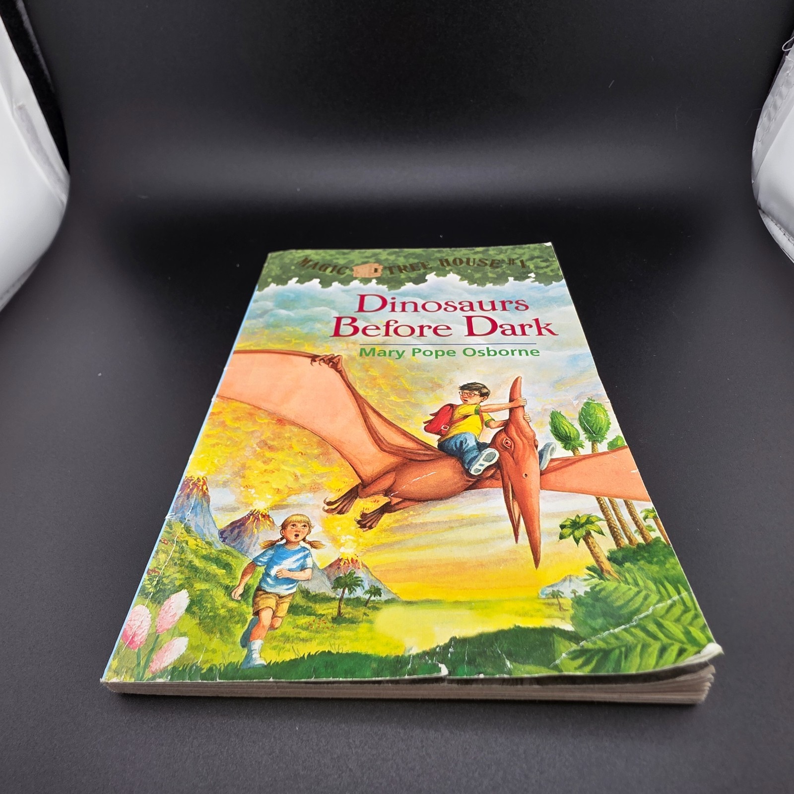 Assorted 5 Kids Book Lot Poke-A-Dot Magic Tree House Disney Preowned Good