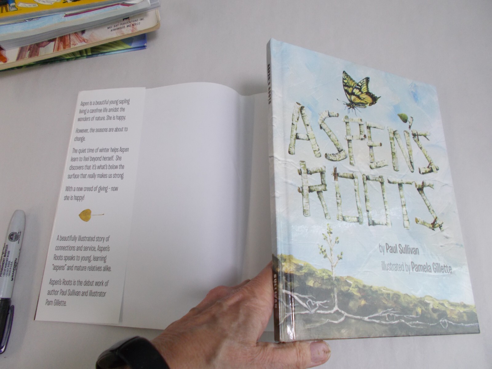 % ASPEN’S ROOTS By Paul Sullivan – Hardcover *Excellent Condition*