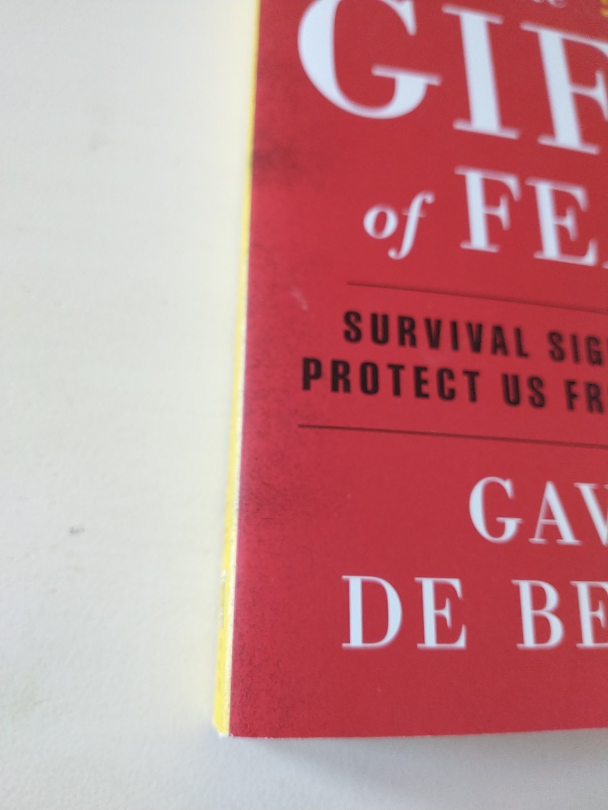 Gift of Fear : Survival Signals That Protect Us from Violence by Gavin de Becker