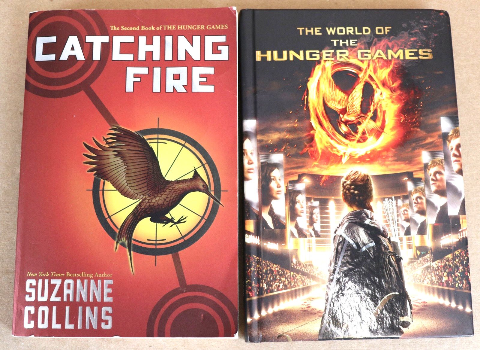 10 THE HUNGER GAMES by Suzanne Collins GUIDED READING Teachers Set + Extras