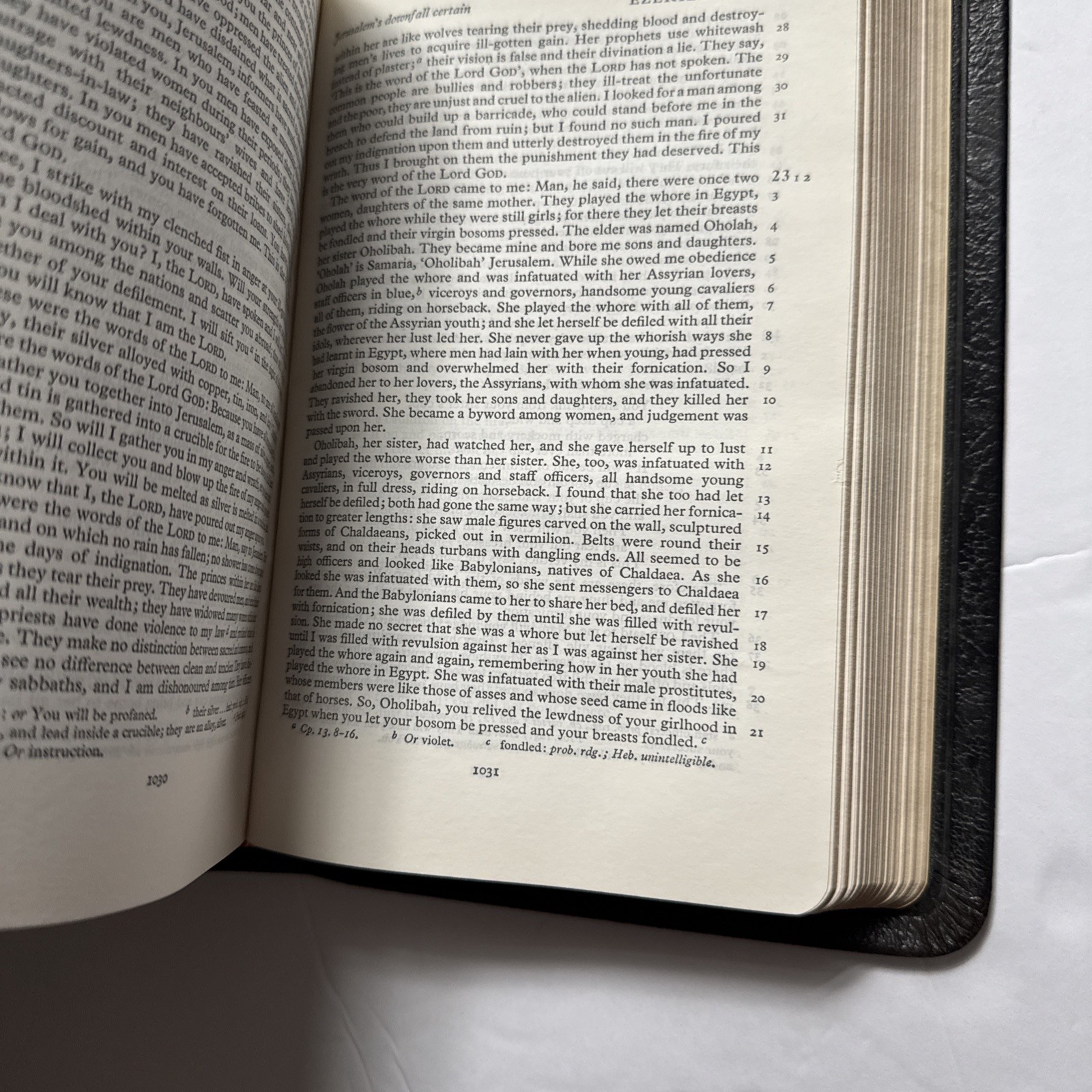 Cambridge New English Bible NEB Water Buffalo Calfskin Leather Apocrypha 1971