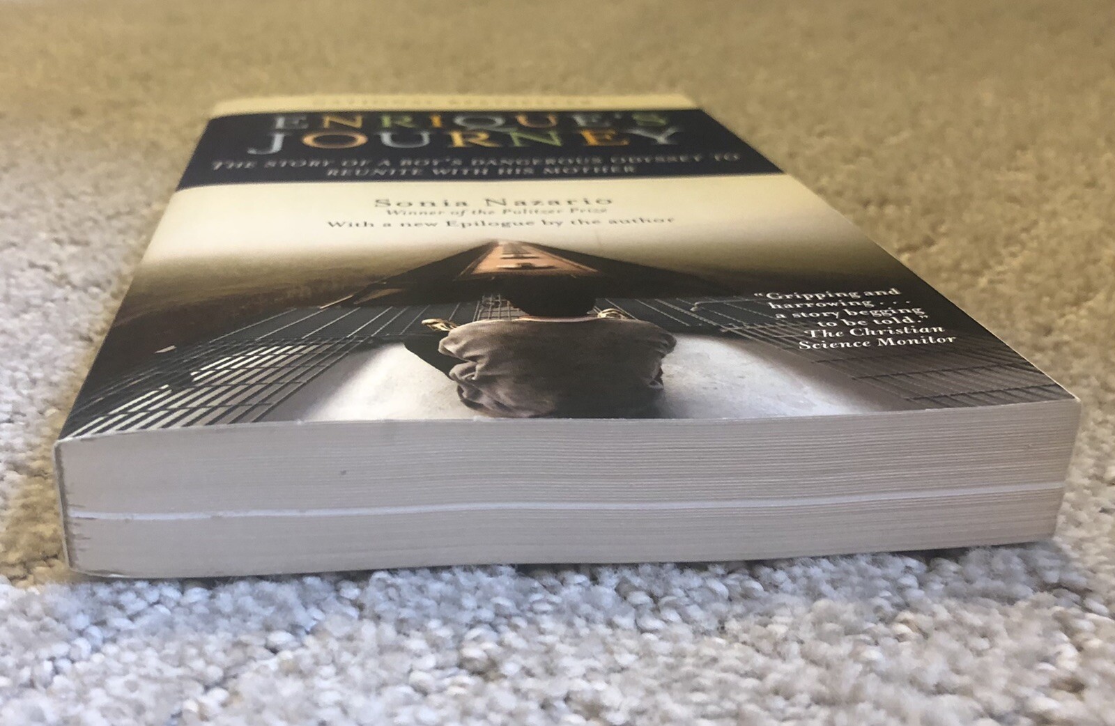 Enrique’s Journey by Sonia Nazario