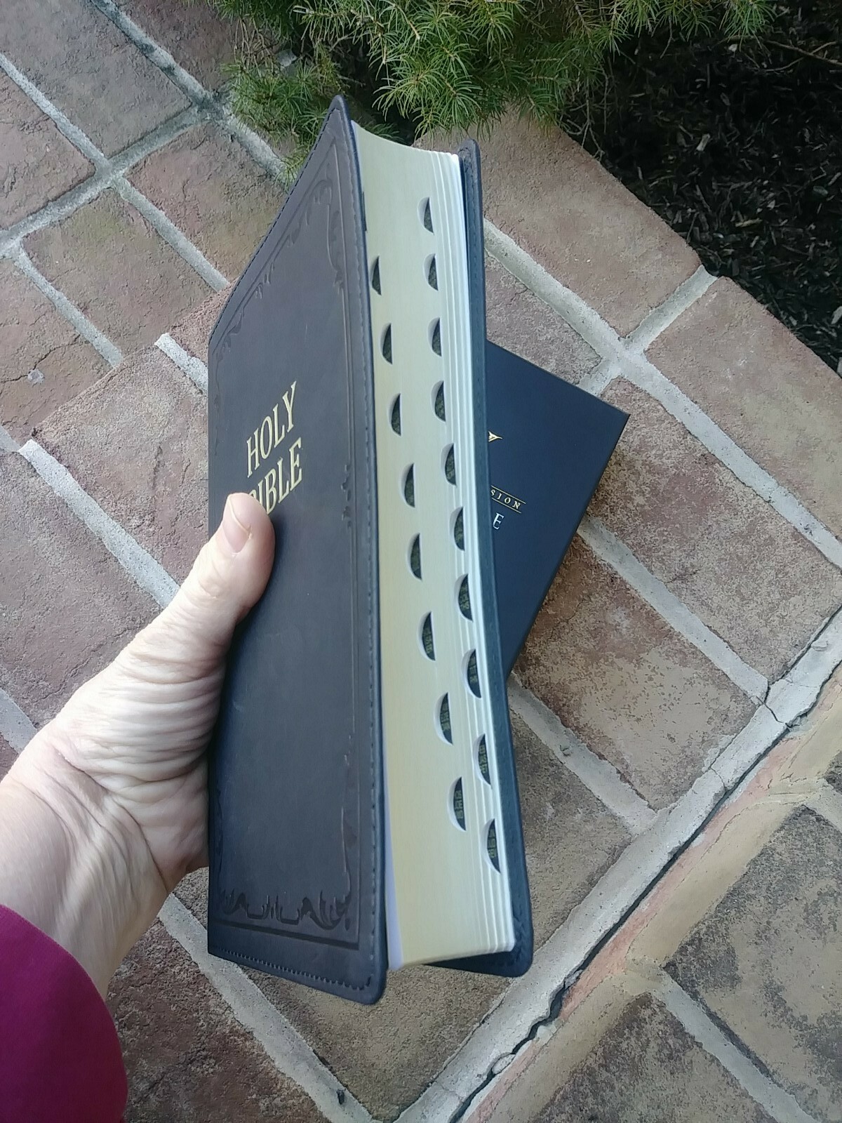 Cowhide KJV Bible ~ standard size ~Thumb Indexed ~ Genuine Leather ~ Red Letter