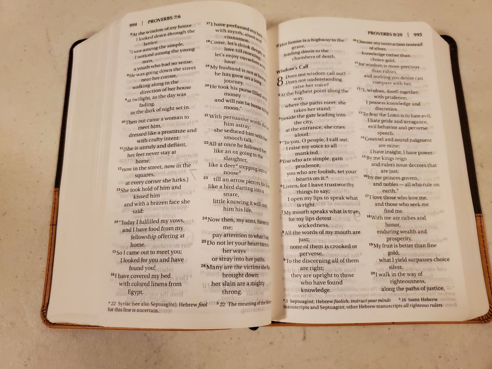 Zondervan NIV Personal Size Large Print Bible Chocolate Amber Leathersoft