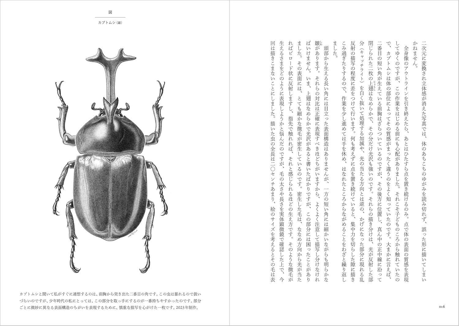 Book The Specimen Painter: Drawing Insects – The Great Universe of… Japanese