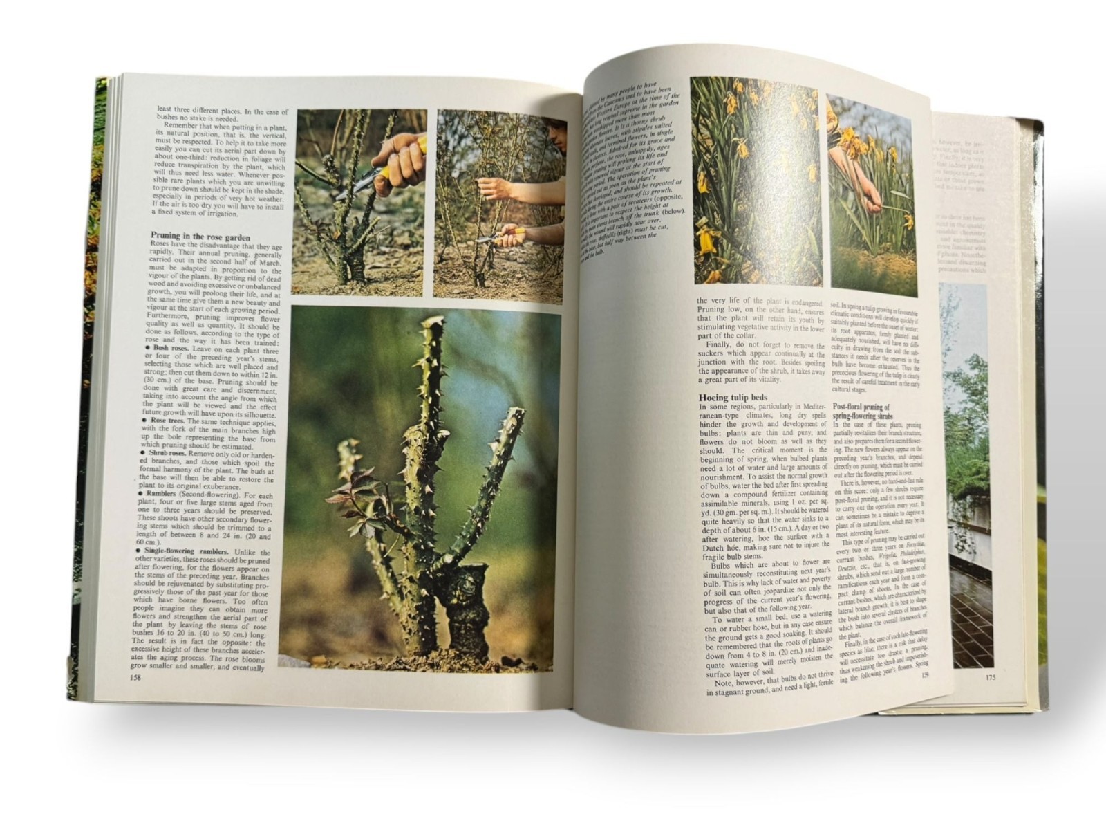Plants & Flowers Vintage Gardening Hardcover Book W/Dust Jacket – 1974