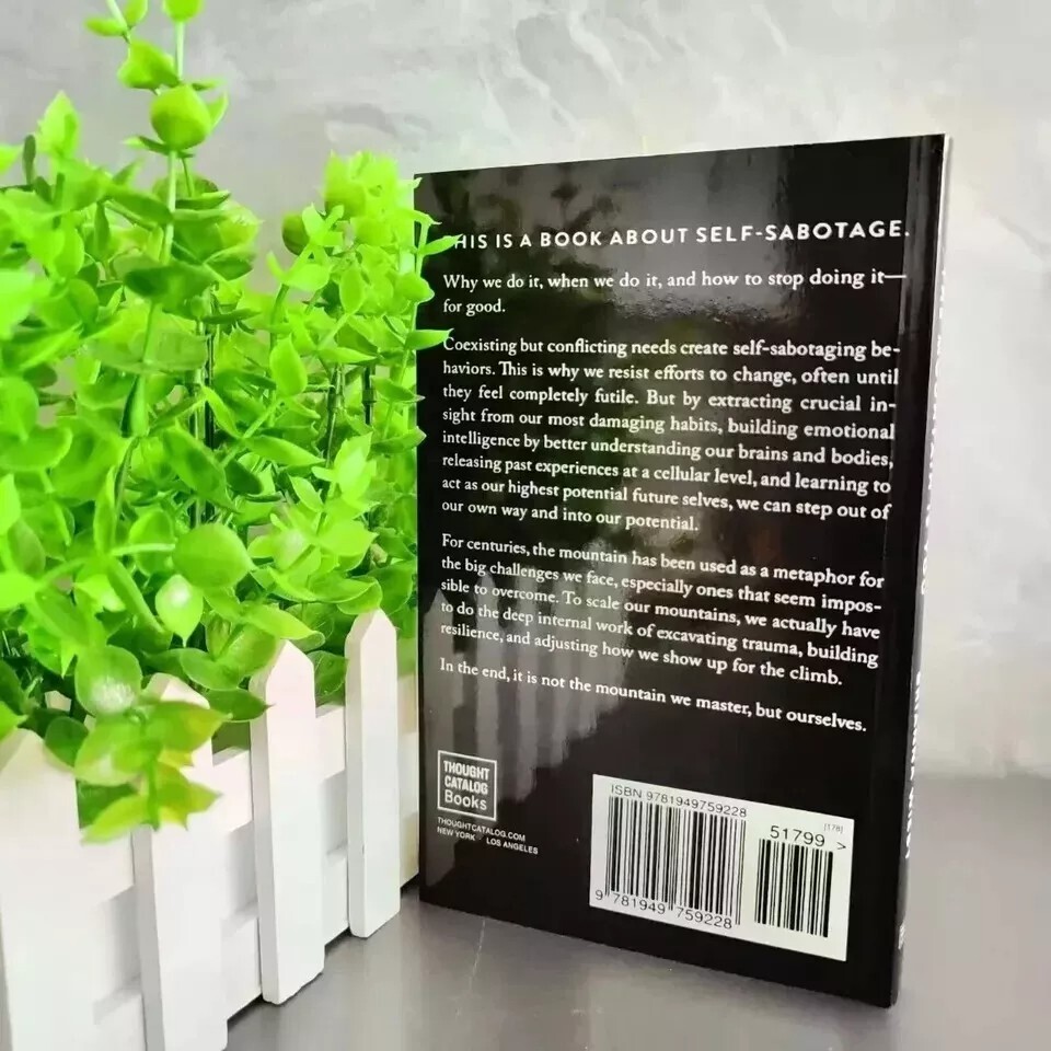 The Mountain Is You: Transforming Self-Sabotage Into Self-Mastery English Books