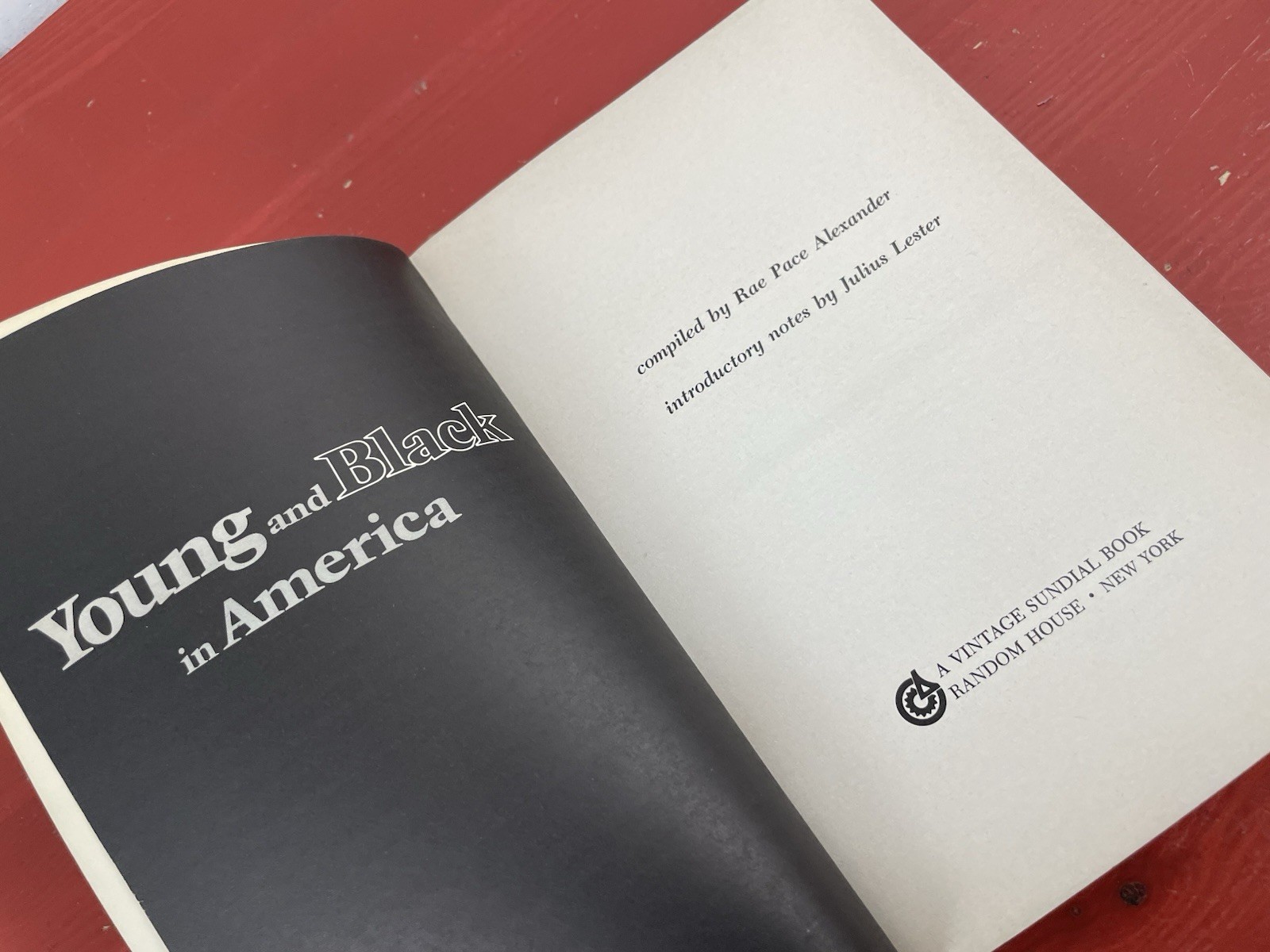 Young and Black in America by Rae Pace Alexander 1973 Malcolm X, Richard Wright