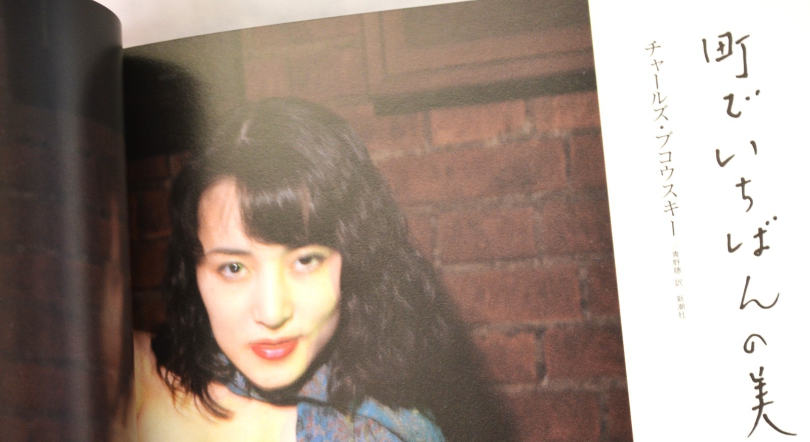 Nobuyoshi Araki Photo Book Novel-themed photos large book 29 x 21 cm 135P Rare