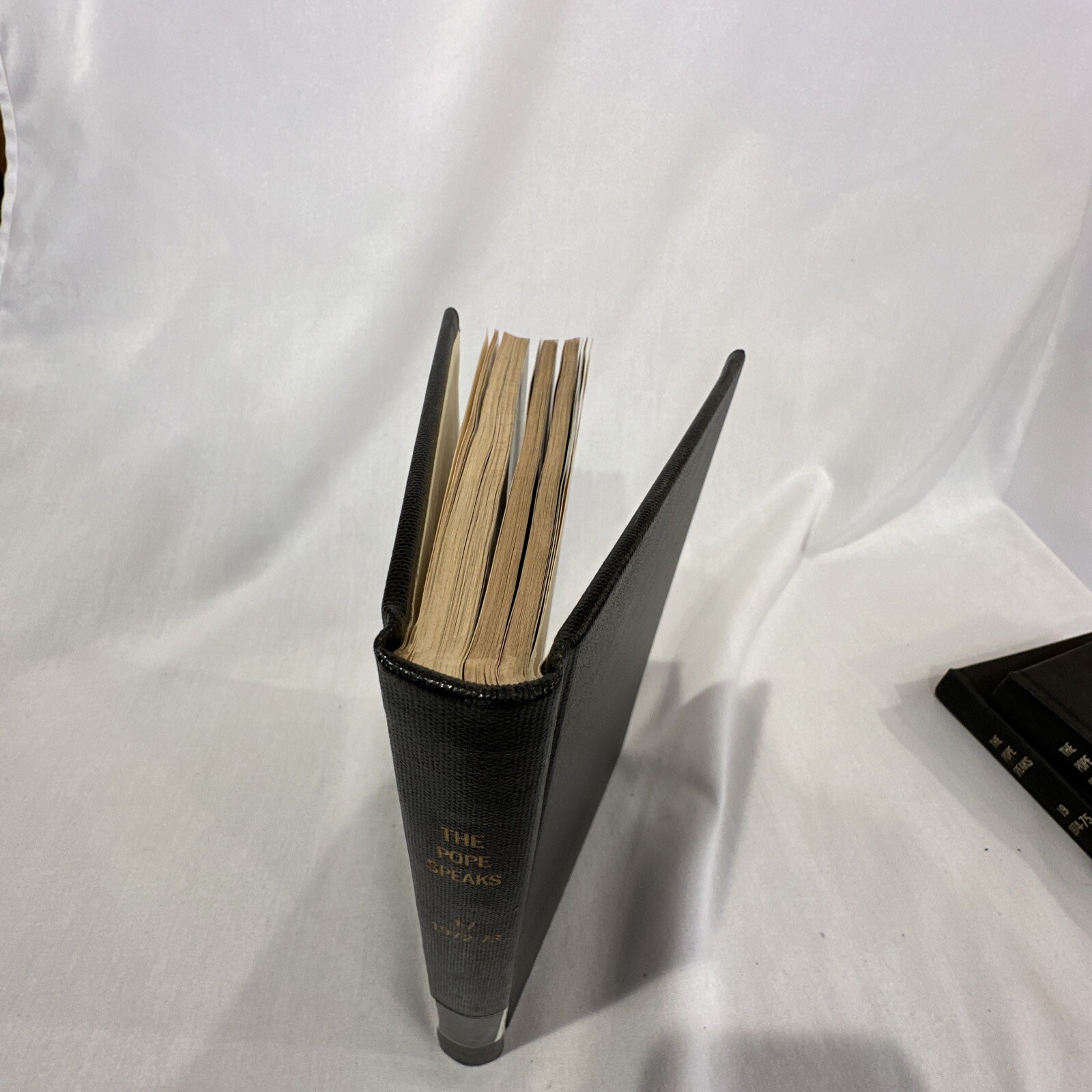 1972-73 The Pope Speaks #17 Daily Messages, Hard Back Book, Library Edition BM31