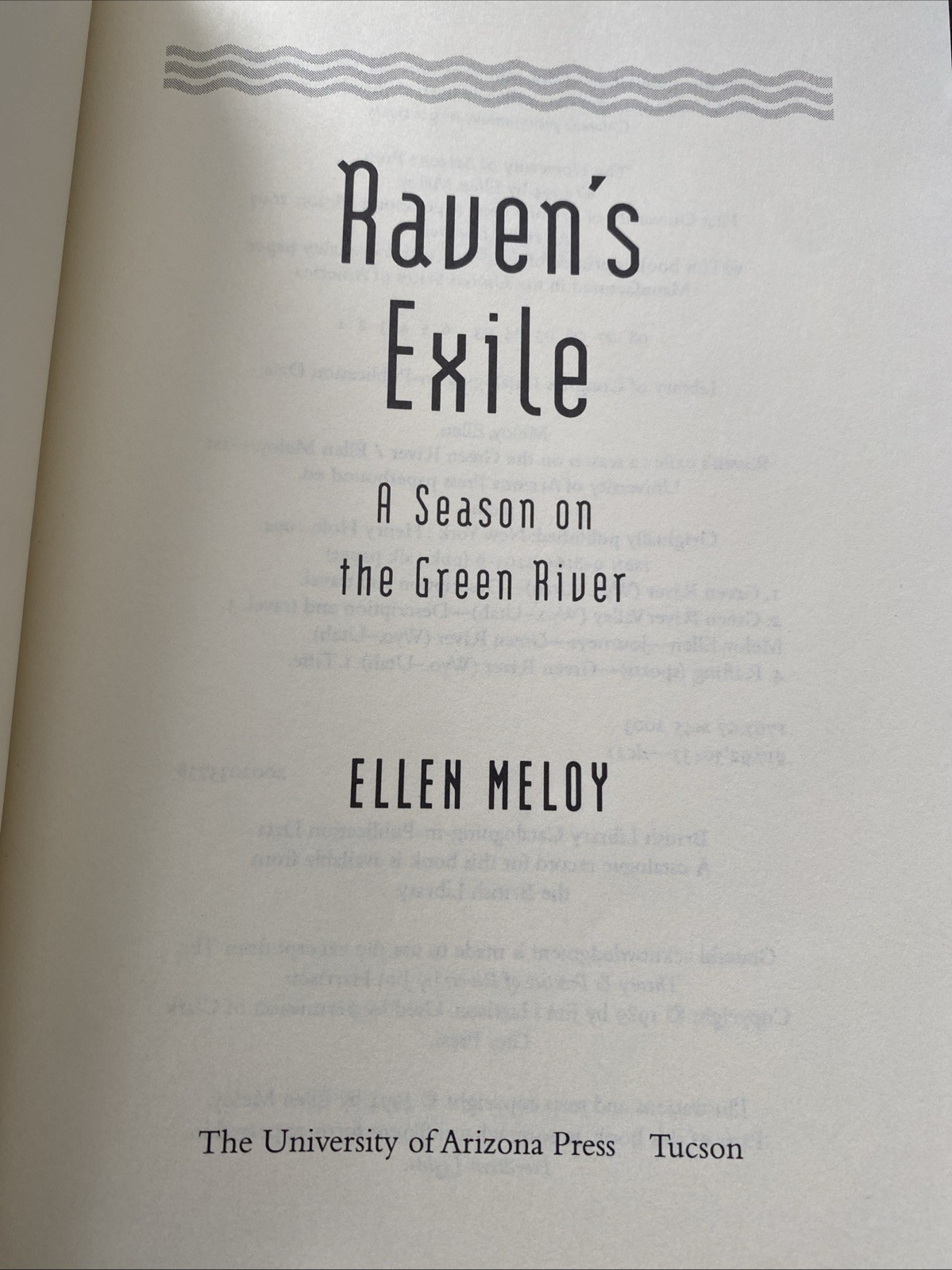 Raven’s Exile: a season on the Green River by Ellen Meloy Softback 2003