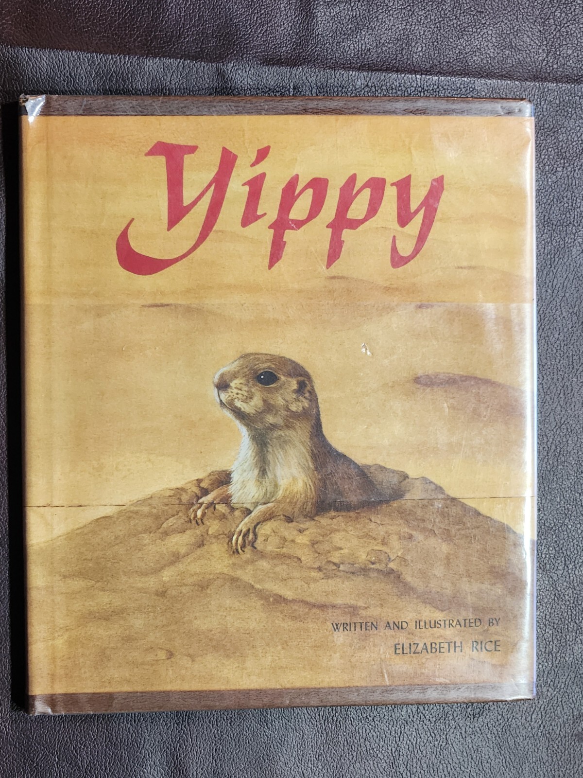 YIPPY ~ SIGNED by Elizabeth Rice 1971 hcdj FIRST EDTION ~ Scarce Collectible