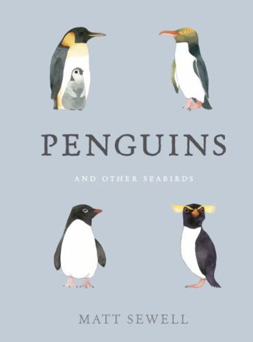 Penguins and Other Seabirds Hardcover Matt Sewell