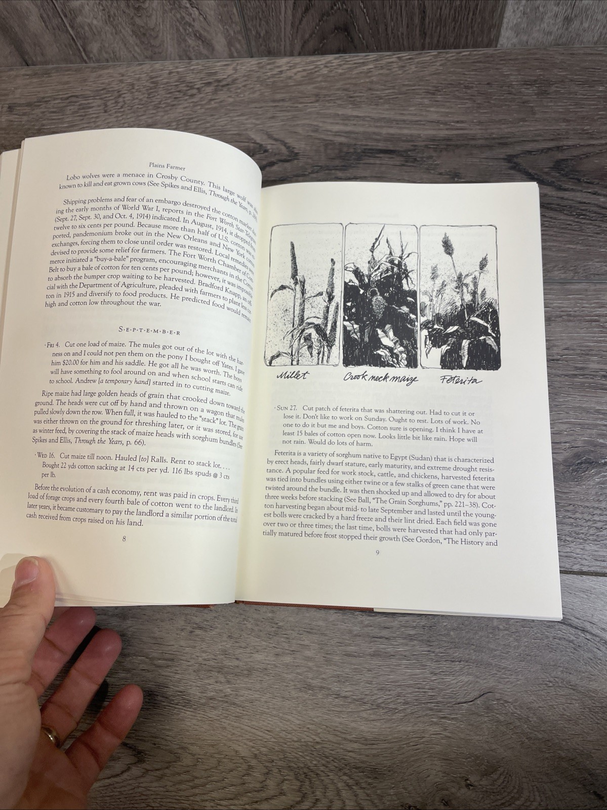 PLAINS FARMER THE DIARY OF WILLIAM G. DELOACH 1914-1964 Texas History Neugebauer