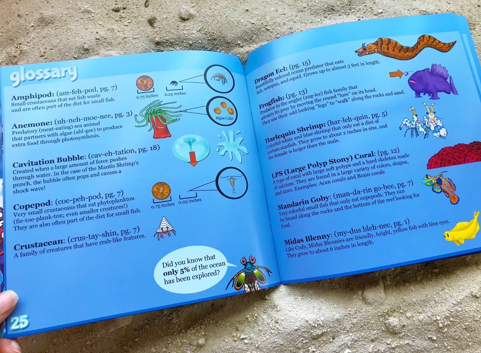 Reef Pals: Wonders of the Reef – NEW – Ocean Sea Coral Reef Kids Children’s Book