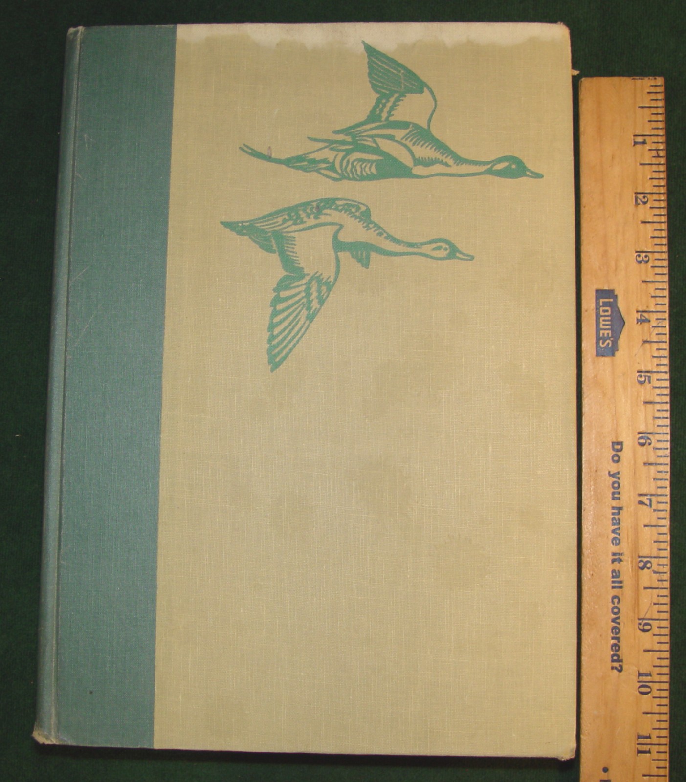 1936 ed. Beautifully Illustrated “BIRDS OF AMERICA” 258 pages Hardcover Book