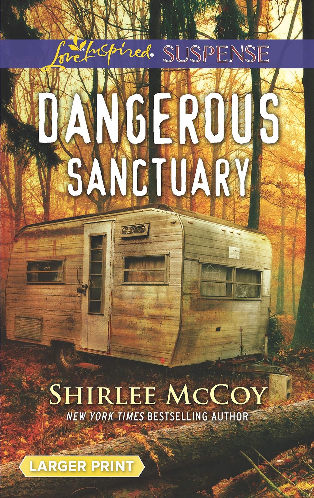 Dangerous Sanctuary (FBI: Special Crimes Unit, 3) – mass market paperback Mc…