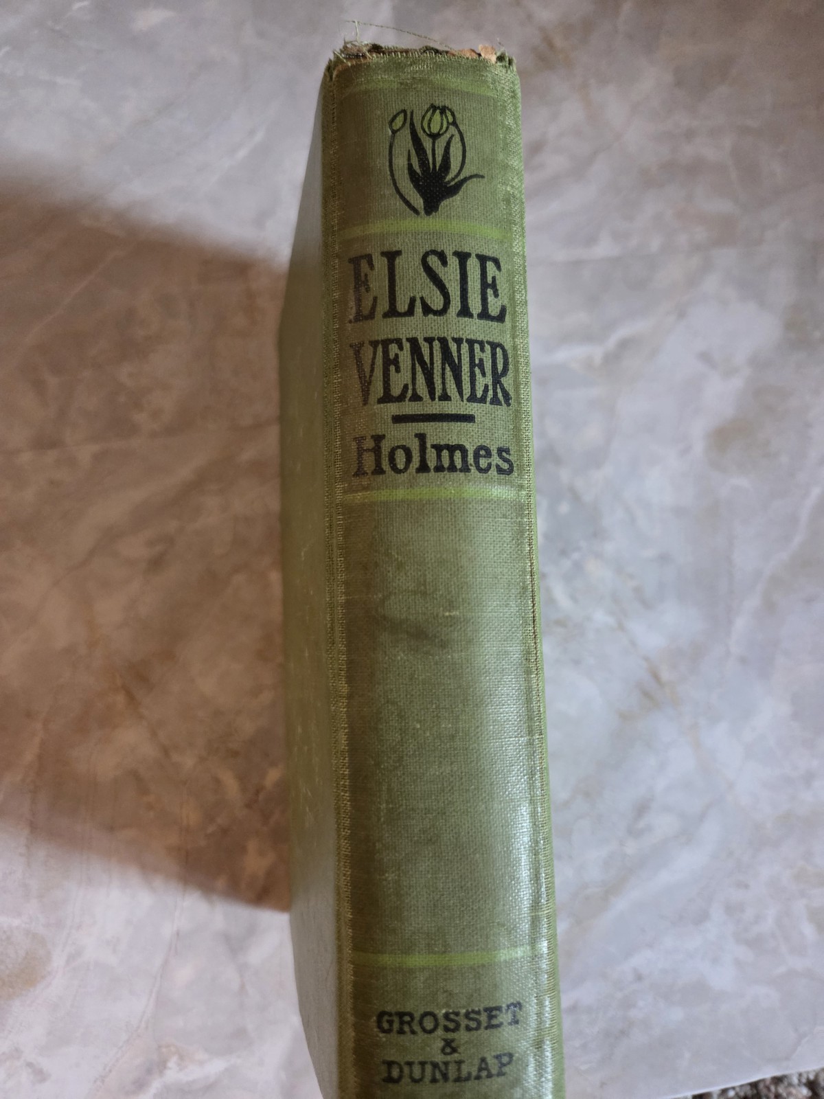 Elsie Venner by Oliver Wendell Holmes – Grosset & Dunlap 1883 – hardcover