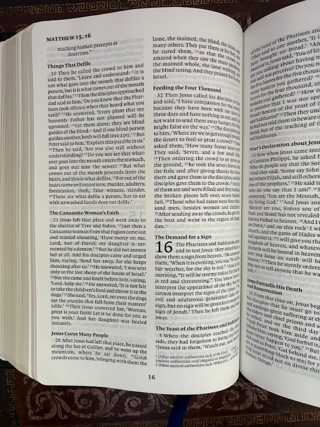 Cambridge Holy Bible NRSV Anglicized Edition Black French Morocco Leather 2013