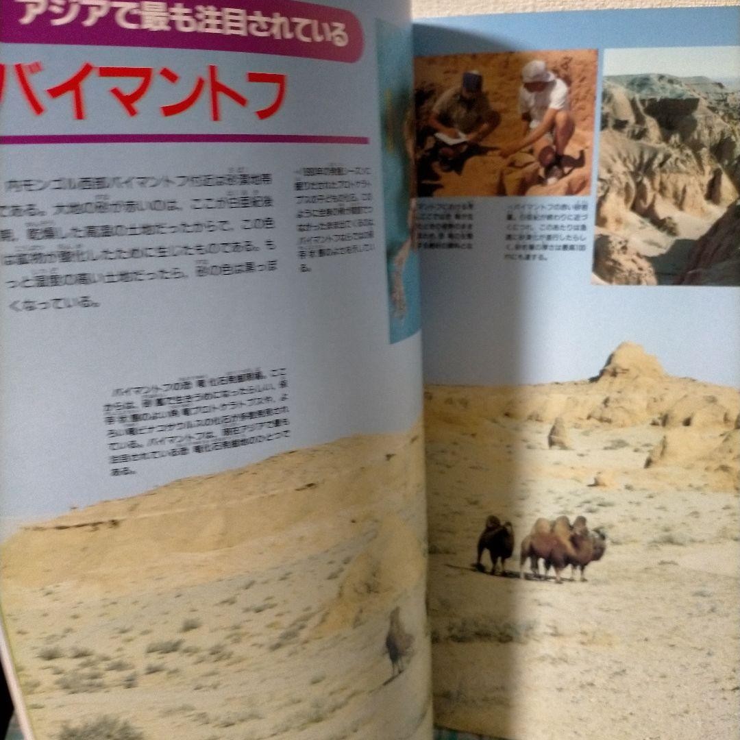 Official Guide Book Dinosaur Expo Fossils Photos China 21cm