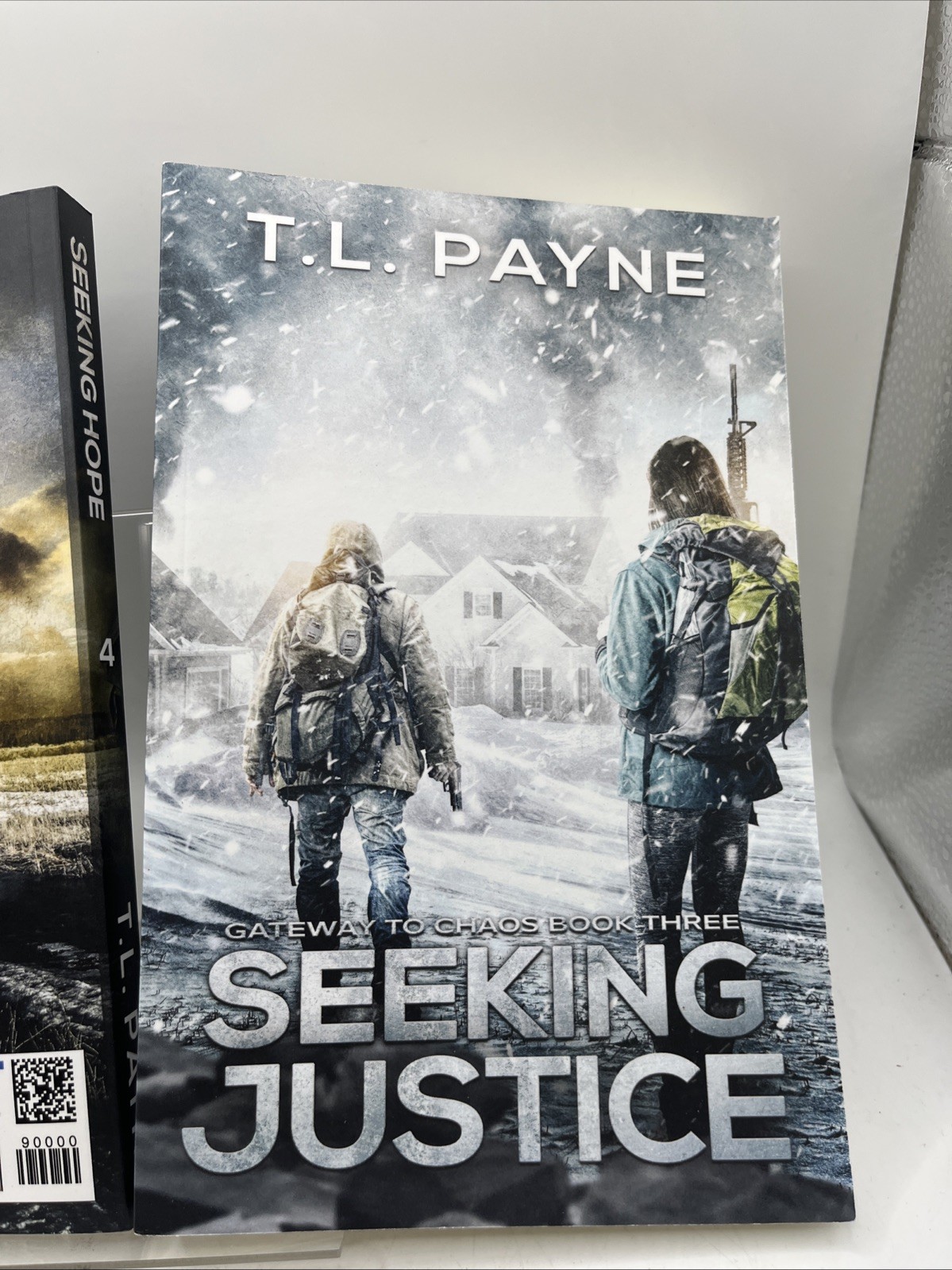 Gateway to chaos book series set of 2- Book 3 Seeking Hope & 4 Seeking Justice