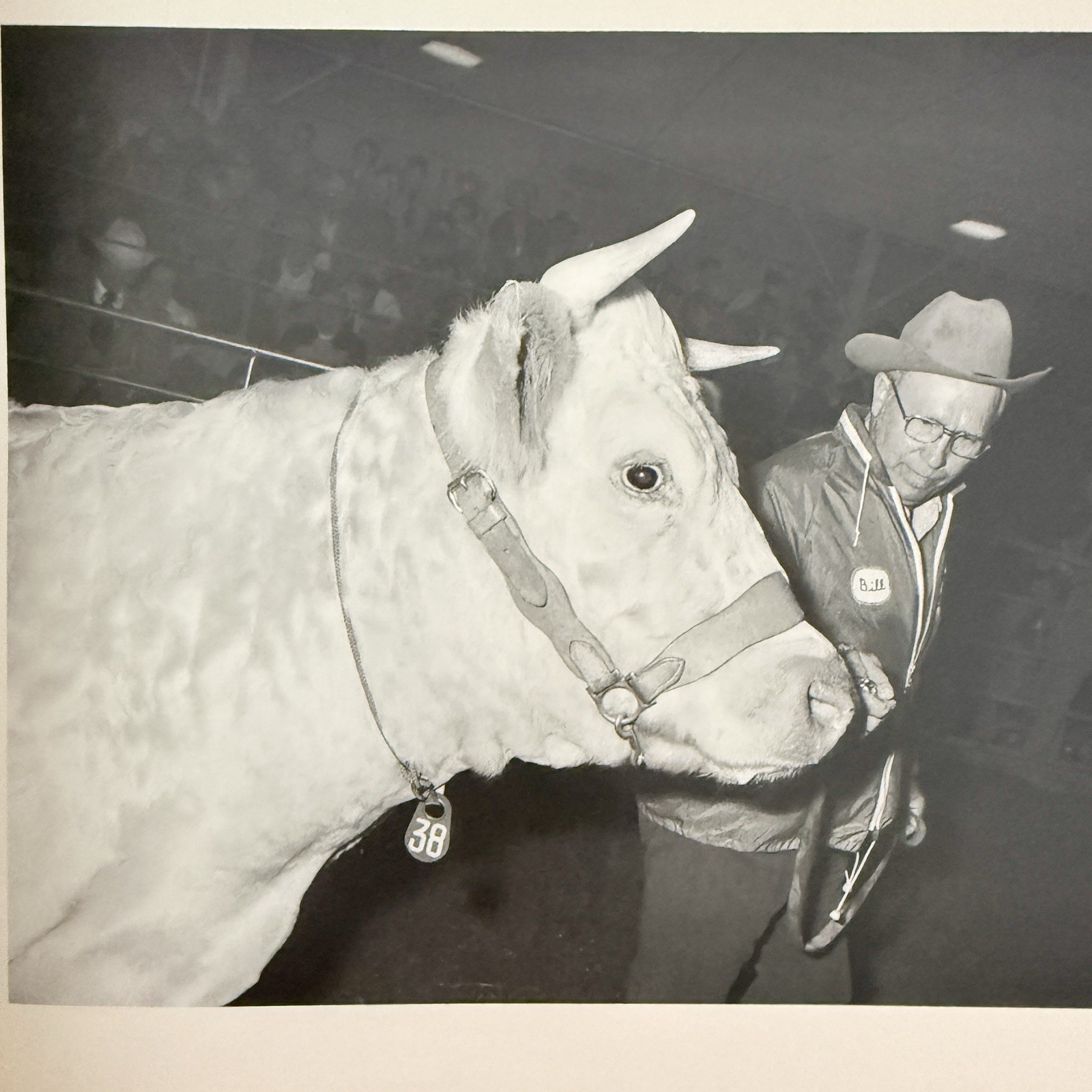 Garry Winogrand Stock Photographs Fort Worth Fat Stock Show Rodeo First Edition